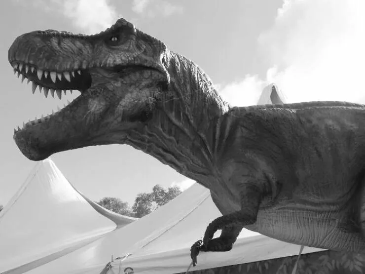 Wildly cool dinosaur facts you didnt know - #14 Tyrannosaurus Rex Had Excellent Eyesight