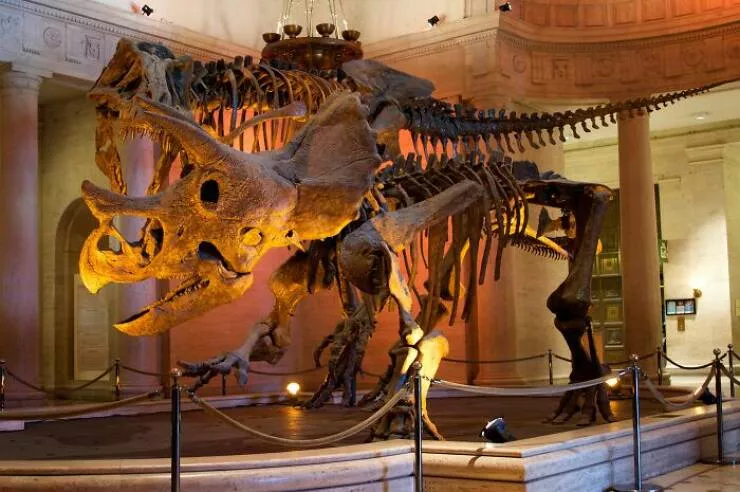 Anecdotes dingues et geniales sur les dinosaures - #15 Tous Les Dinosaures N’Avaient Pas Vécu en Même Temps