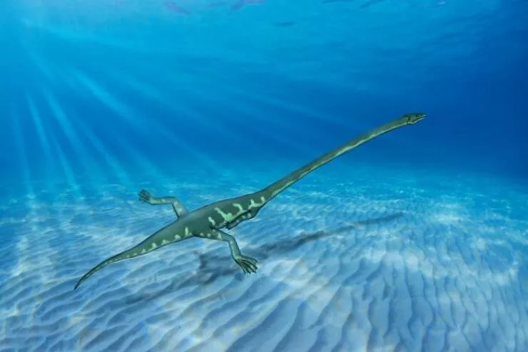 Wildly cool dinosaur facts you didnt know - #16 Some Dinosaurs Were Surprisingly Good Swimmers