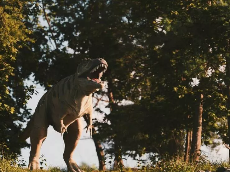 Anecdotes dingues et geniales sur les dinosaures - #17 Un Humain Aurait Peut-Être Pu Semer Un T-Rex