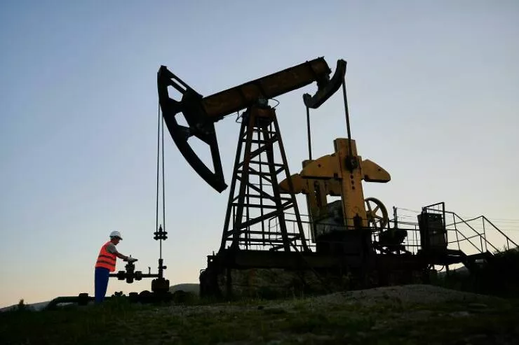 Anecdotes dingues et geniales sur les dinosaures - #19 Les Dinosaures Ne Sont Pas À L’Origine Du Pétrole