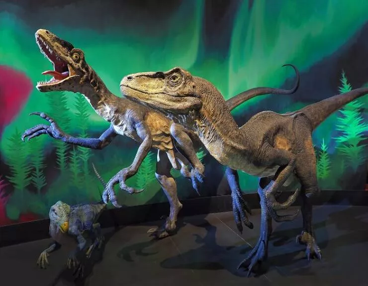 Wildly cool dinosaur facts you didnt know - #4 Jurassic Park Raptors Were Inspired by Deinonychus