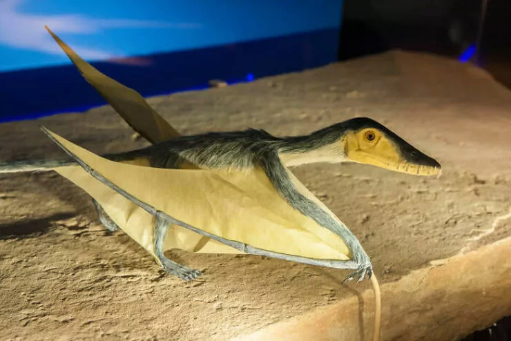 Wildly cool dinosaur facts you didnt know - #6 Pterosaurs Weren’t Technically Dinosaurs