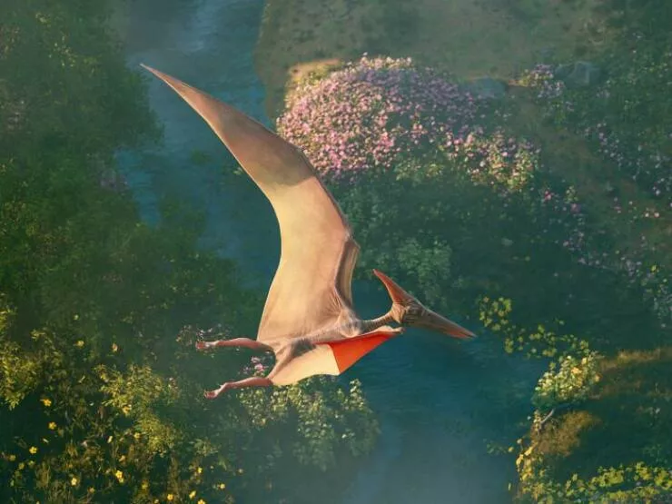 Wildly cool dinosaur facts you didnt know - #8 Pterosaurs Were the First Large Animals Capable of Flight