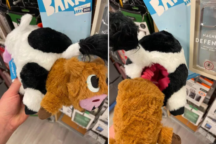 Nope definitely not interested - #2 