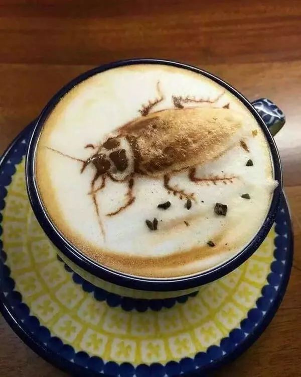 Nope definitely not interested - #4 