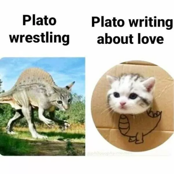 Philosophy class with a twist of humor - #1 