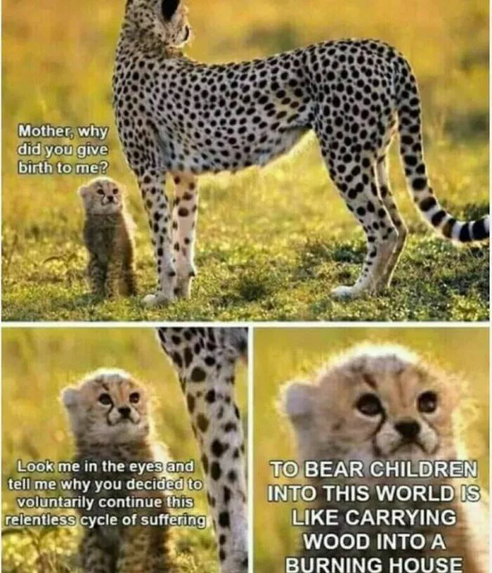 Philosophy class with a twist of humor - #37 