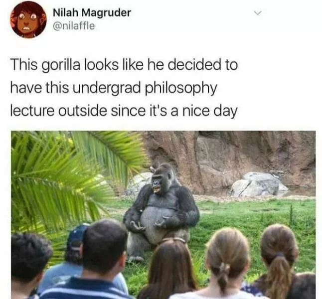 Philosophy class with a twist of humor - #43 