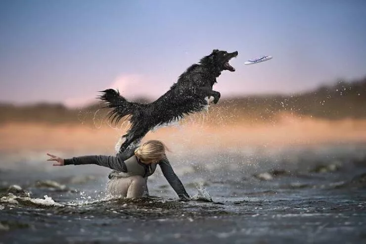 Chiens en mouvement comme jamais vu - #11 
