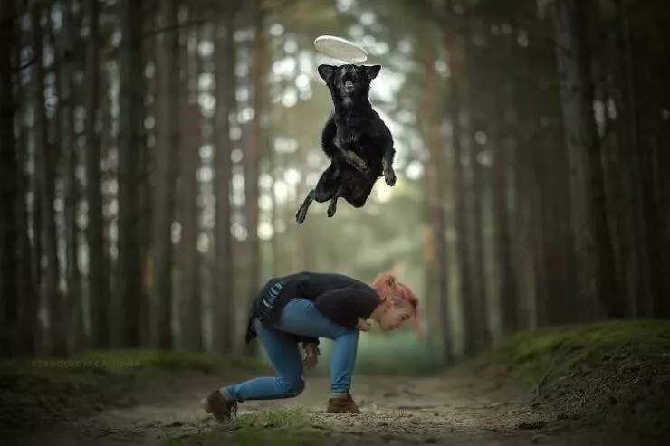 Chiens en mouvement comme jamais vu - #2 