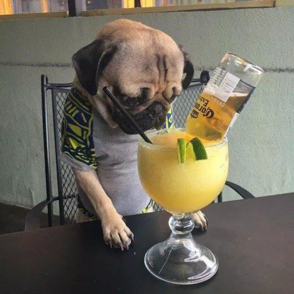 Picdump 129 - #19 