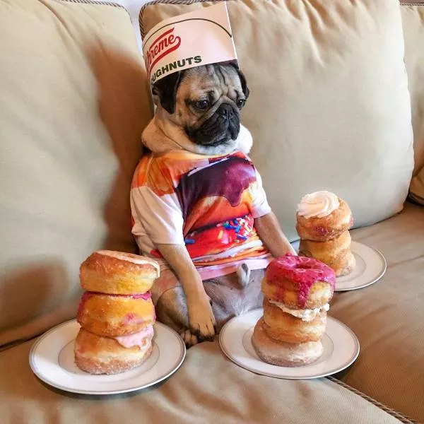 Picdump 129 - #38 