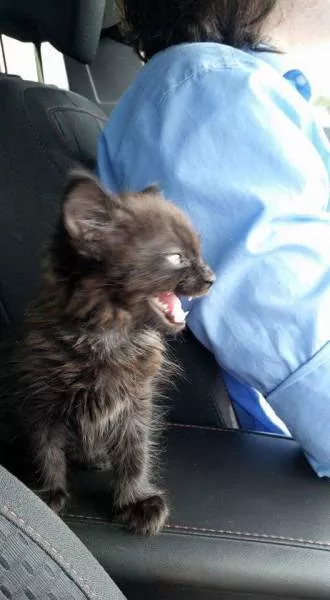 Picdump 129 - #47 