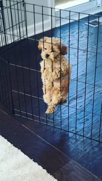 Picdump 129 - #52 
