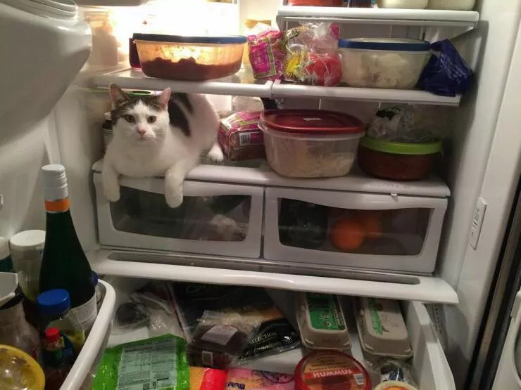 Picdump 1050 - #31 