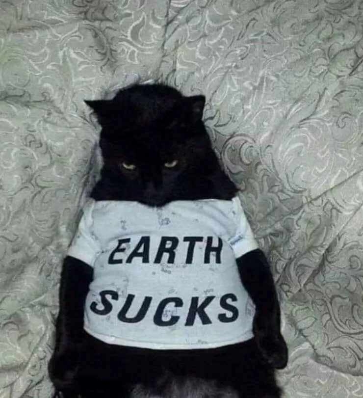 Picdump 1050 - #41 