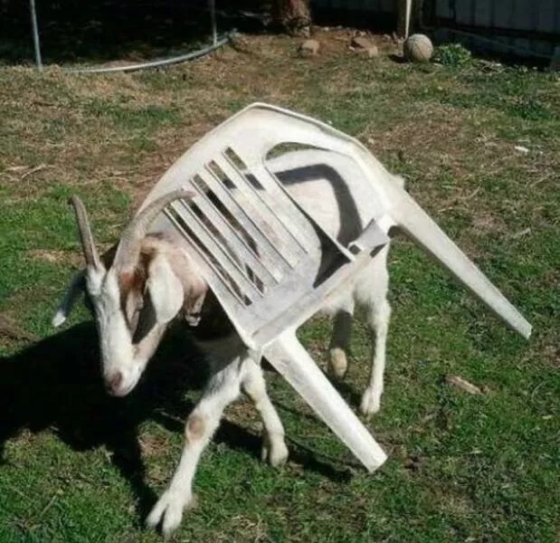 Picdump 1050 - #45 