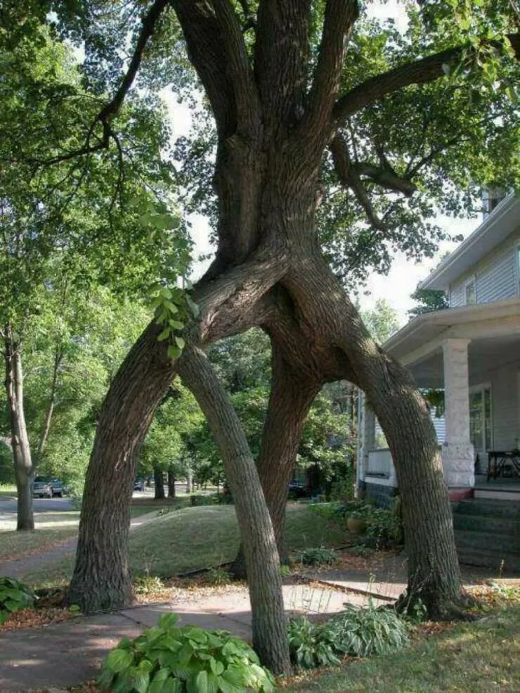 Picdump 1051 - #30 