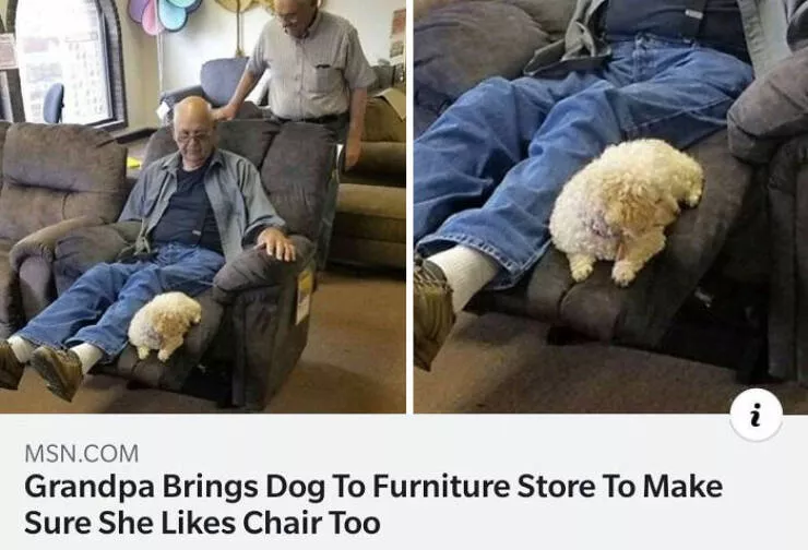 Uplifting moments to make you smile