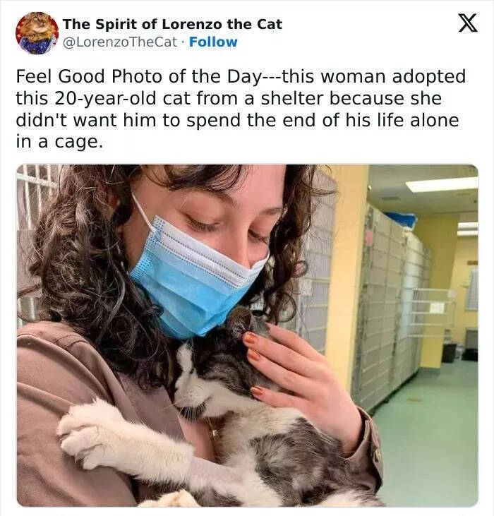 Uplifting moments to make you smile - #4 