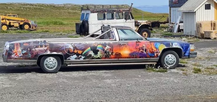 Unbelievable wild rides captured
