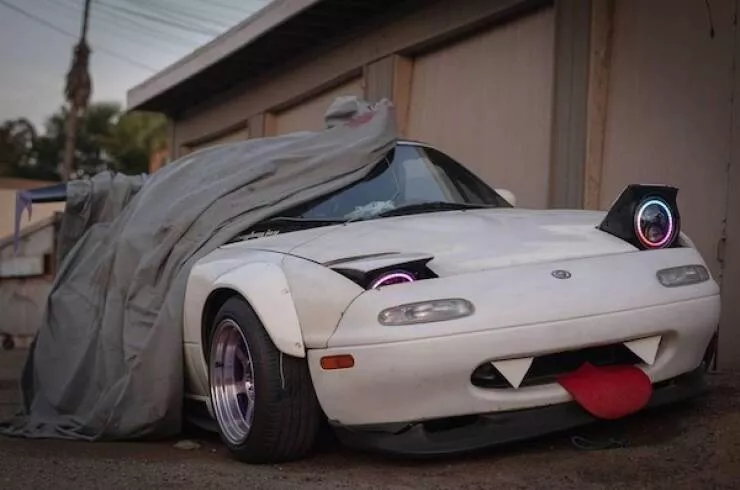 Unbelievable wild rides captured - #4 