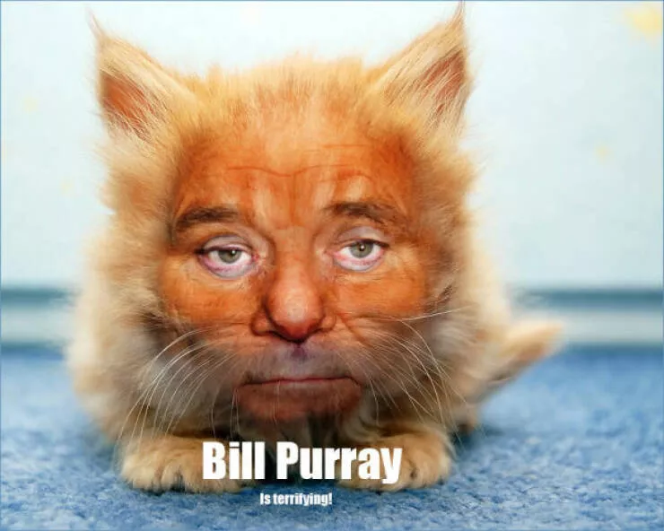 Memes darchives qui font toujours leur effet - #1 