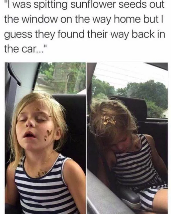 Throwback memes that still pack a punch - #18 