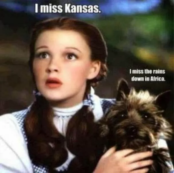 Throwback memes that still pack a punch - #23 