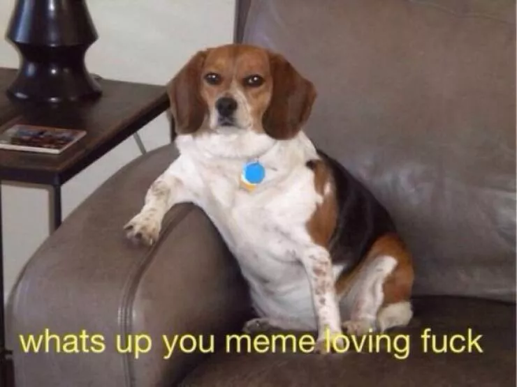 Throwback memes that still pack a punch - #26 