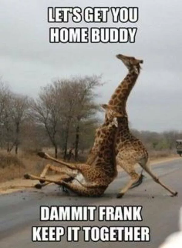 Throwback memes that still pack a punch
