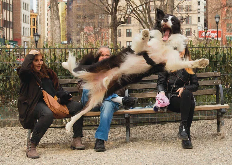 Picdump 1053