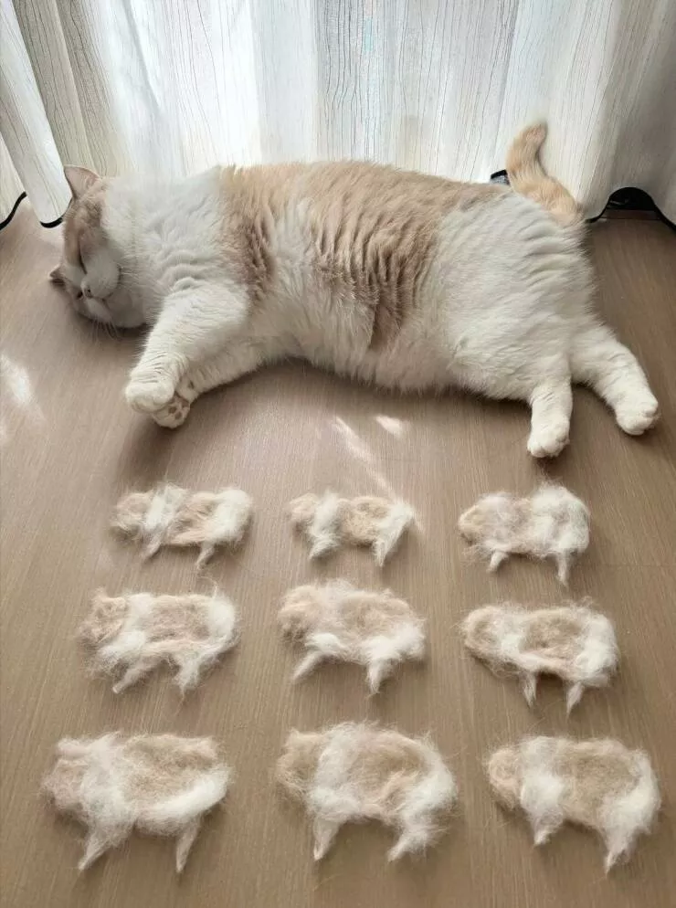 Picdump 1054 - #1 