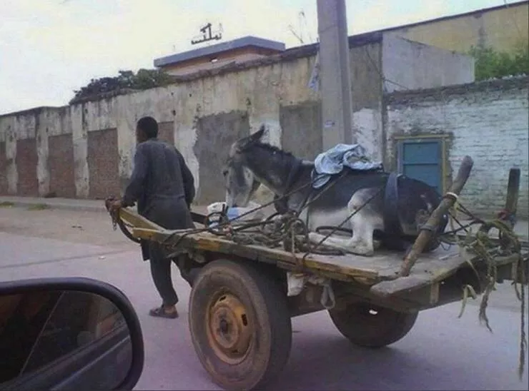 Picdump 1055 - #28 