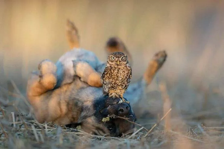 Picdump 1055 - #30 