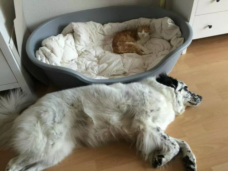 Picdump 1055