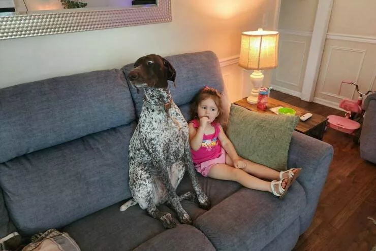 Picdump 1055 - #6 