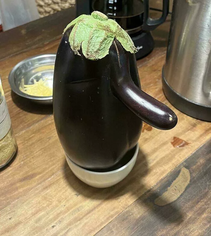 Intriguing photos with amazing stories - #19 Found a Funny-Looking Eggplant with a Comical Nose