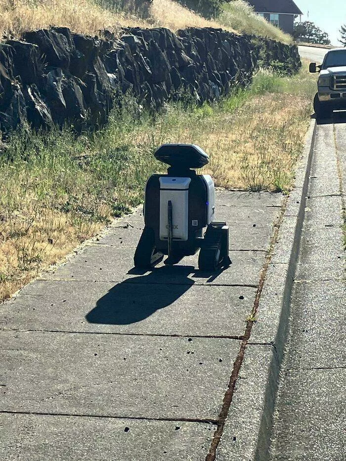 Intriguing photos with amazing stories - #29 Delivery Robot Pauses in Deep Thought at the End of the Sidewalk