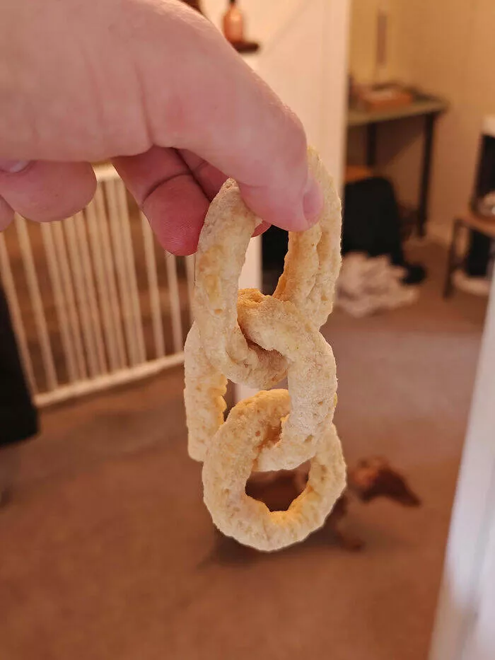Intriguing photos with amazing stories - #39 Frozen Onion Rings Formed a Perfect Metal Chain Shape
