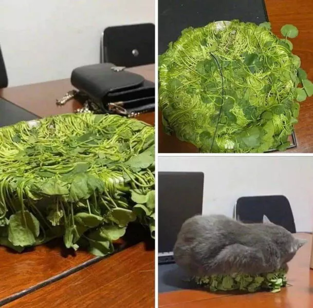 Picdump 1055 - #1 