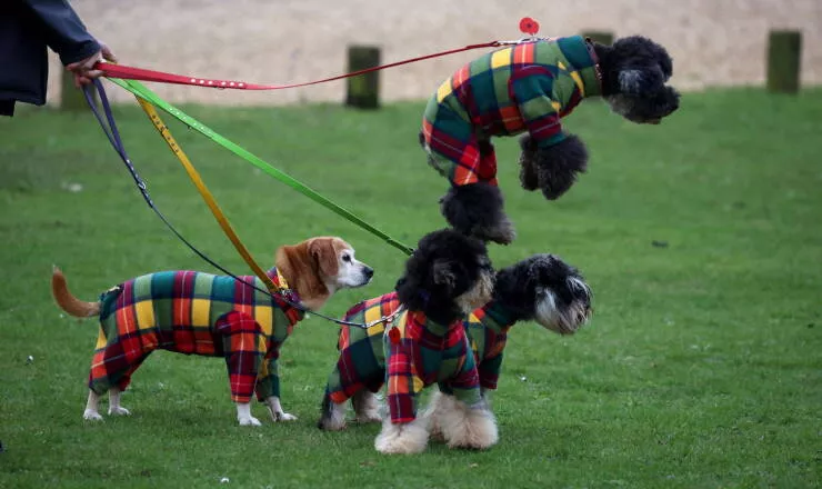 Picdump 1055 - #26 