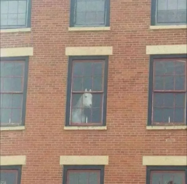 Picdump 1055 - #38 