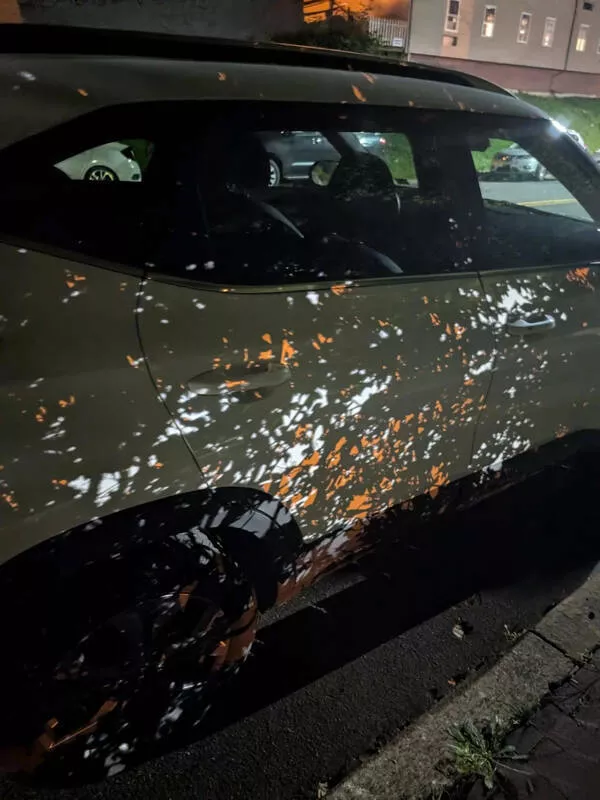 Instants fascinants saisis en image - #18 Lumière Traversant Un Buisson Forme Une Ombre Magique Sur Une Voiture
