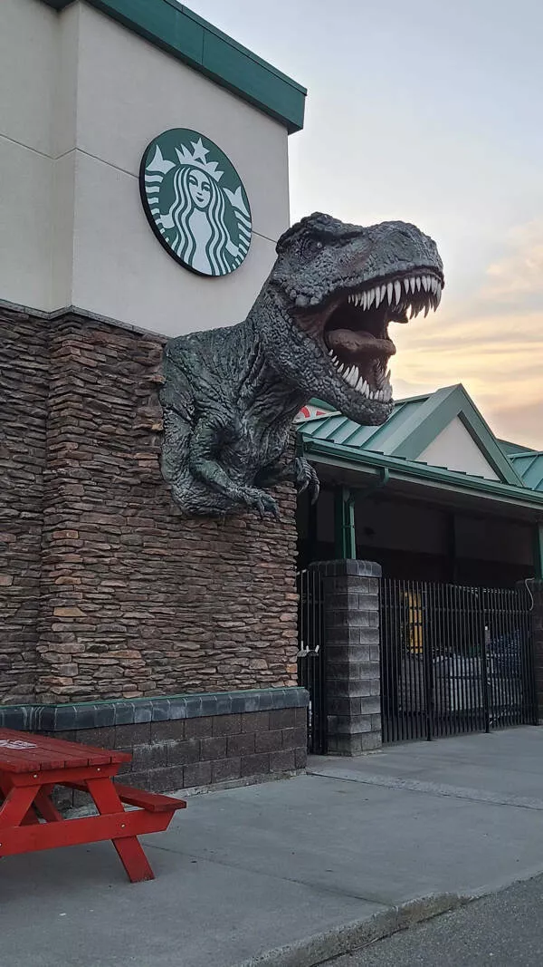 Instants fascinants saisis en image - #23 Un T-Rex Géant Monté Sur le Mur d’un Supermarché en Alberta