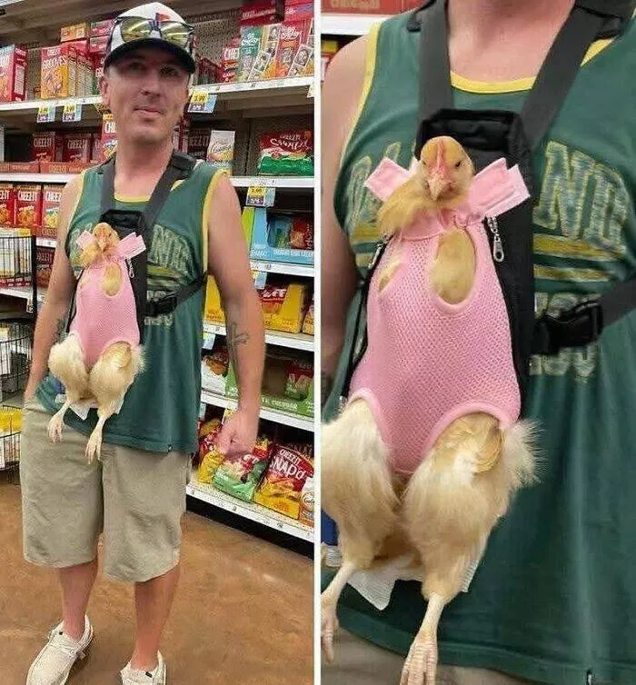 Moments bizarres captures sur le net - #12 