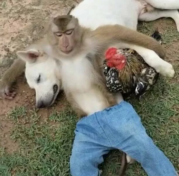 Weird moments spotted online - #2 