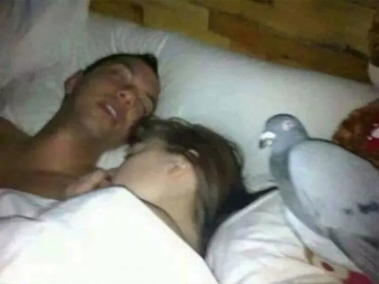 Moments bizarres captures sur le net - #22 