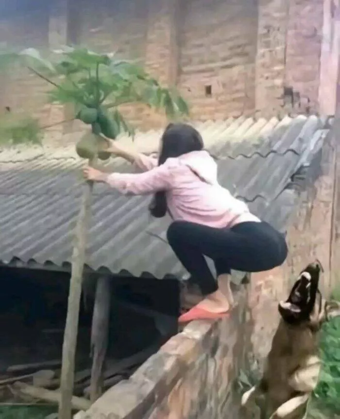 Moments bizarres captures sur le net - #25 